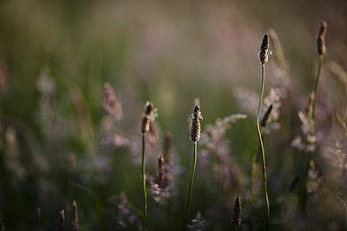 网易游戏：首款适配华为开源鸿蒙生态的游戏顺利跑通